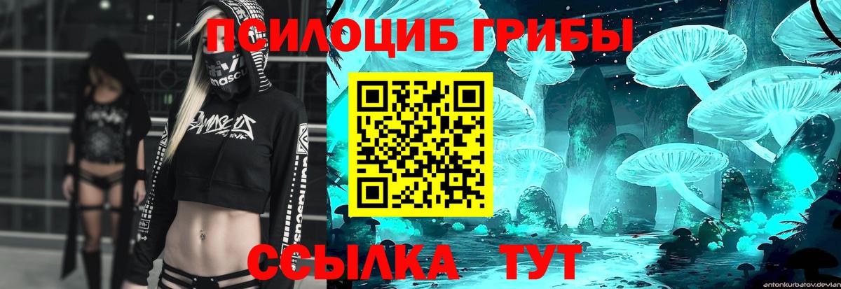 Усолье-Сибирское  Псилоцибиновые грибы мицелий  где продают   Вход с VPN  Псилоцибиновые грибы GOLDEN TEACHER 